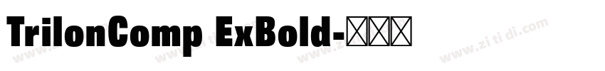 TrilonComp ExBold字体转换